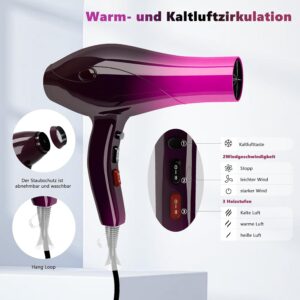 Sèche-cheveux ionique 3000W diffuseur avec 2 vitesses 3 Températures de chaleur et bouton Cool Shot pour maison voyage salon